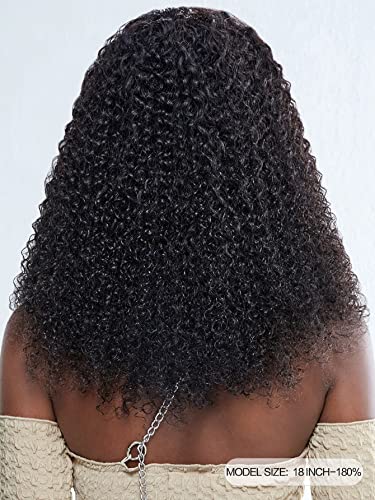 VDESC İnsan Dantel Peruk 13*4*1 Siyah kadınlar için T-parça dantel ön kıvırcık insan saçı peruk (renk : 200 yoğunluk