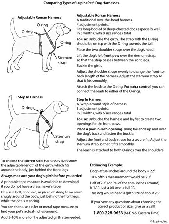 LupinePet Orijinalleri 1 Çiçek Gücü 24-38 Büyük Köpekler için Ayarlanabilir Roma Köpek Koşum Takımı