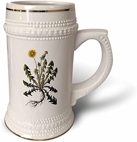 3dRose Vintage Sarı Karahindiba Çiçek Botanik Sanat İllüstrasyon. - 22oz Steın Kupa (stn-364631-1)