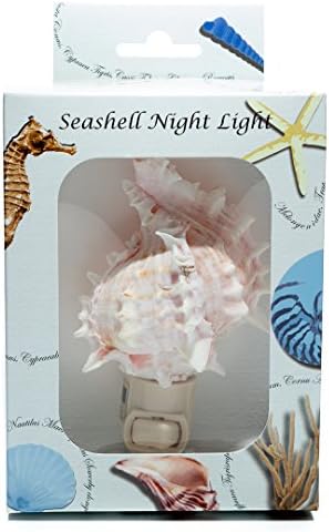 Deniz Kabuğu Gece Lambası | Harpa Kabuk Deniz Gece Lambası | Ev Dekorasyonu / Artı Joseph Rains tarafından Ücretsiz