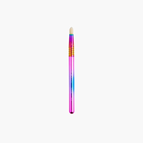 Color Me Proud Mini Fırça Seti LGBTQ Topluluk Gurur Ayı, Gökkuşağı Rengi, Seyahat Dostu Göz Fırçası Seti, Daha İyi