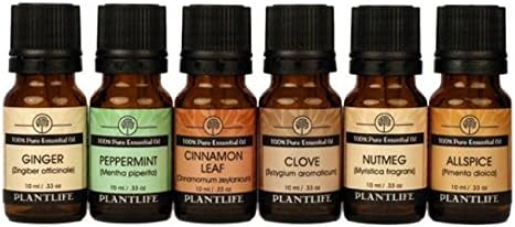 Plantlife Tatil Seti 6'lı Paket (Zencefil, Tarçın Yaprağı, Nane, Karanfil, Hindistan Cevizi ve Yenibahar) Aromaterapi