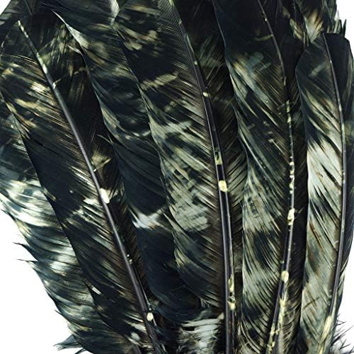 Zucker 25 adet Batik Türkiye Tüyleri Zanaat Malzemeleri, Headdress / Rüya Yakalayıcı-Sol Kıvrımlı 10-12 inç-Siyah