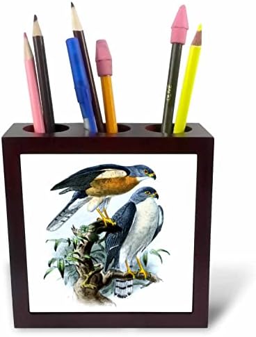 3dRose Çin Atmaca Yırtıcı Kuşlar Vintage Sanat-Şahin Kuşu. - Karo Kalem Tutucular (ph-365447-1)