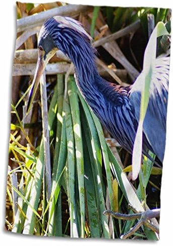3dRose Florene Kuşları-Yavru Balıkçıl Havluları (twl-14470-1)